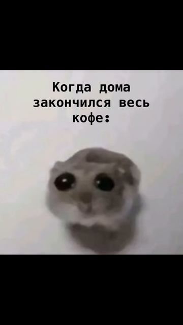 Скучно без него….