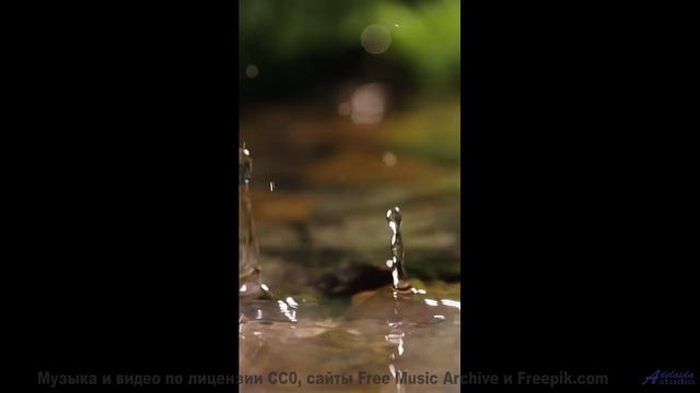 Поля и музыка заставляют забыть про реальность - Chasing Time -- EME HACHE -- Chasing Time