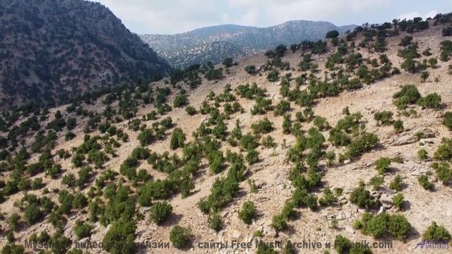 Звуки, используемые для клонирования сознания - это реально - Cellar Door -- HoliznaCC0 -- Lo-fi And
