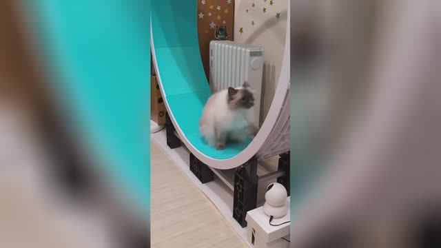 Best video of Tik Tok! 16.06.25 / 07