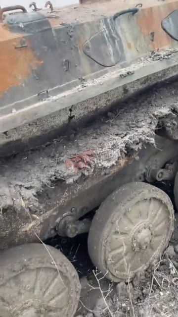 Победили жизнь, живут горизонтально