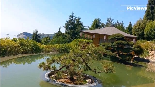Японский сад в парке «Айвазовское». Сад Ханами в Крыму. Партенит. Как выглядит и что внутри Ханами