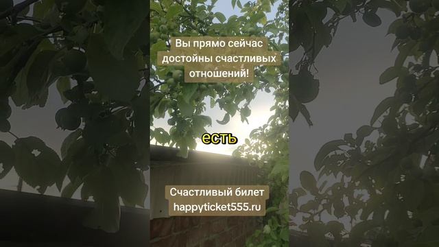 Вы прямо сейчас можете любить и быть любимыми!