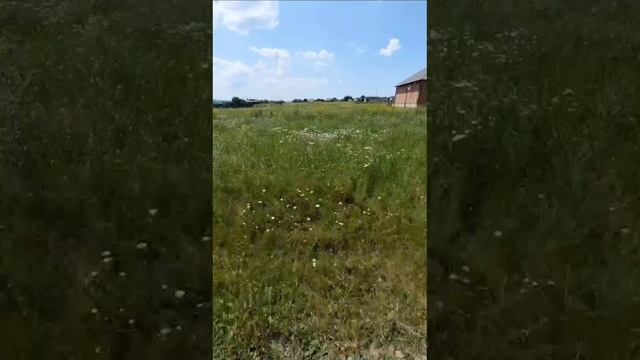 WhatsApp Video 2025-06-14 at 22.43.00