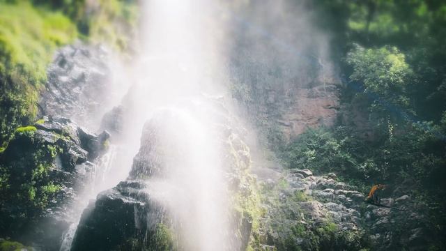 Леопард у водопада: 3D CGI анимация