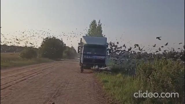 4 гонка. 532км. Московский регион. Старт 15 июня 2025 года.