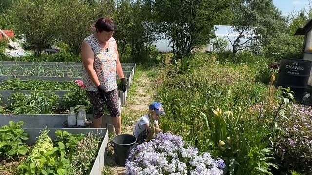 ОБЯЗАТЕЛЬНО СДЕЛАЙТЕ ЭТО ПОСЛЕ ПРОПОЛКИ ЛУКА