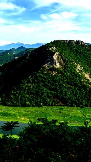 Поймано на камеру
