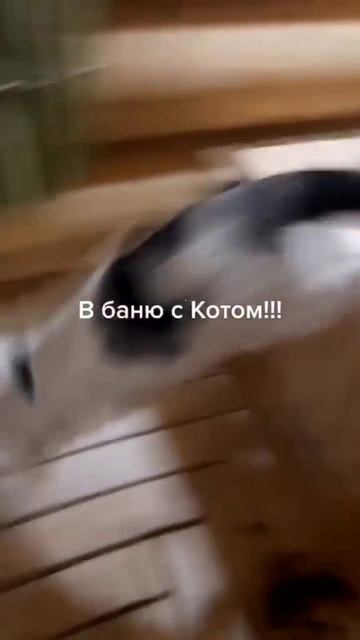 5oIAKIEByotOfWGiQIziICylAEwA1BlhBvO1q3