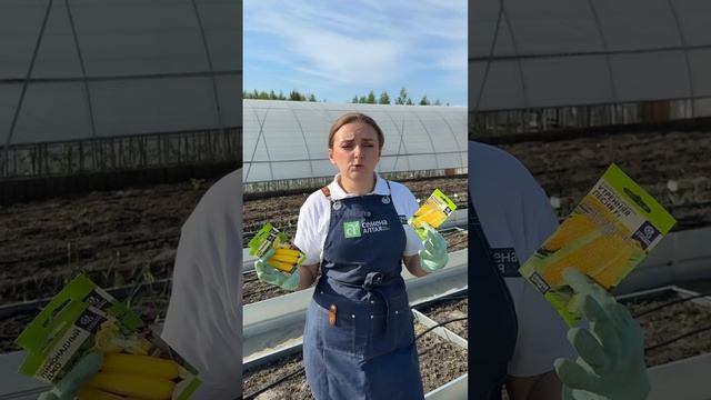 КАКИЕ СЕМЕНА НУЖНО ЗАМАЧИВАТЬ?