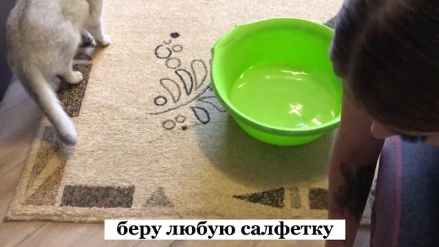 Ковры больше не стираю и не ношу на автомойки. Соседка, рассказала, как почистить ковёр за 35 рублей