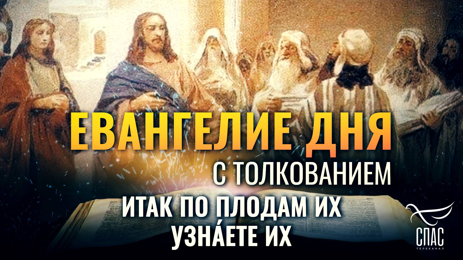 «Итак по плодам их узна́ете их.» / ЕВАНГЕЛИЕ ДНЯ