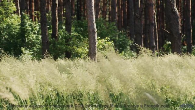 Музыка пробуждает внутри забытые мечты - H3W -- Upseen -- El Monstruo