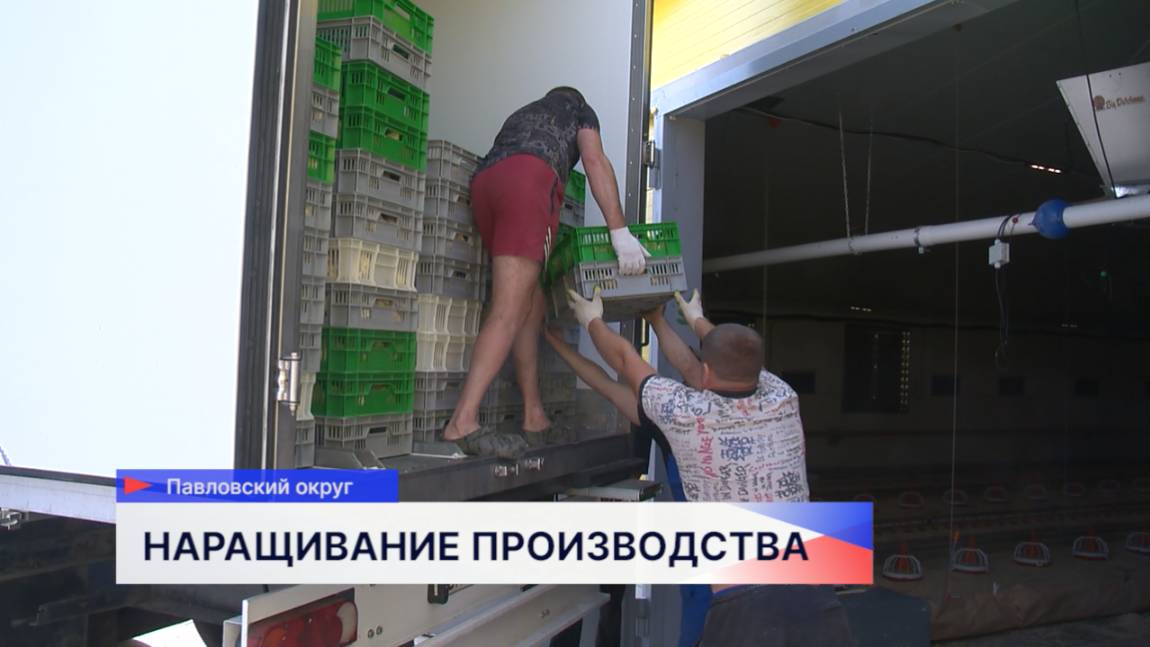 В Нижегородской области фермеры запускают новые птичники с современной технологией