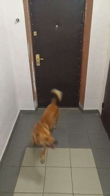 Открывай, Лена, Я пришел!