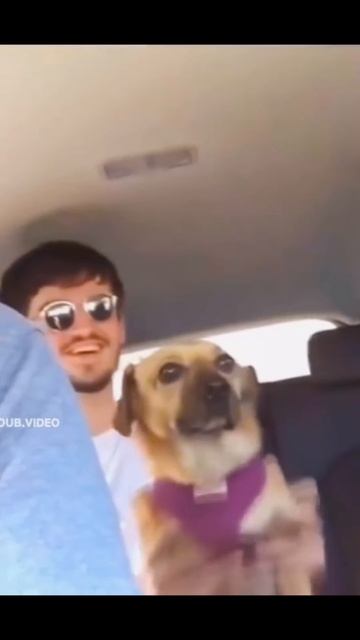 ВНИМАТЕЛЬНО НАБЛЮДАЕТ