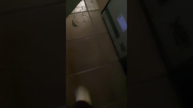 Экскурсия по каналу "Рома"
