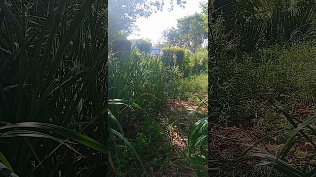 Таро.Что нового идёт в вашу жизнь.