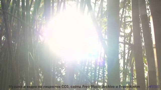 Вы не слышали море таким, пока не включили этот трек! - Babies First Hallucination -- HoliznaCC0 --