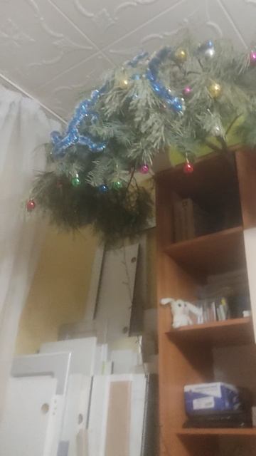 VID_20230125_185226