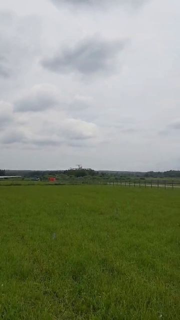 Л29 Дельфин