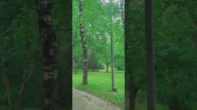 20250614_171726.mp4