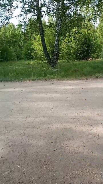 Лучшее место для работы