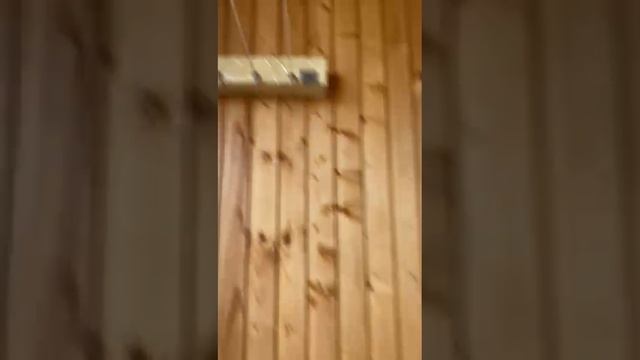1000156515.mp4