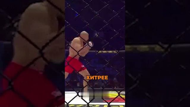 🤭Как Василевский НОКАУТИРОВАЛ будущего бойца UFC Гуськова!