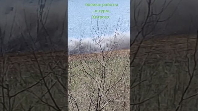 1000134626.mp4