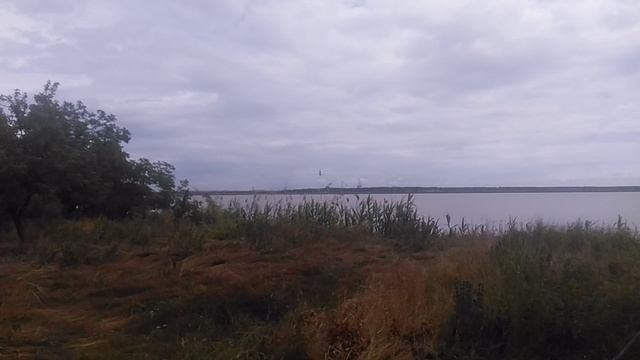 VID_20250616_085615.mp4