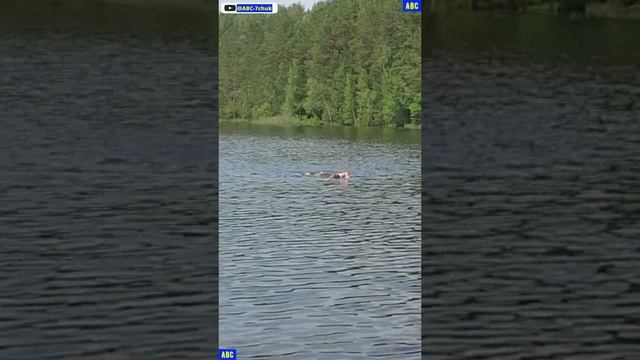 На Черёмуховом озере 16.06.2025 (4К) #юныйпрадедбодрыйдед