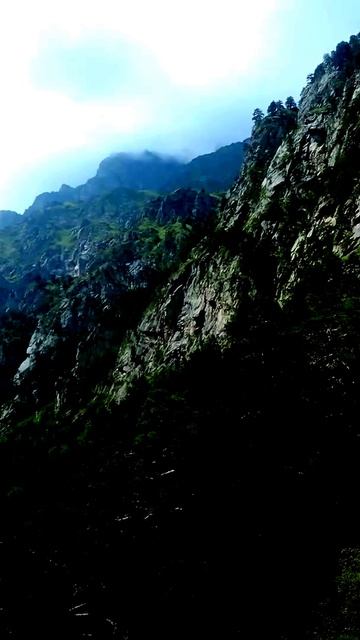 Камера сняла шокирующий случай