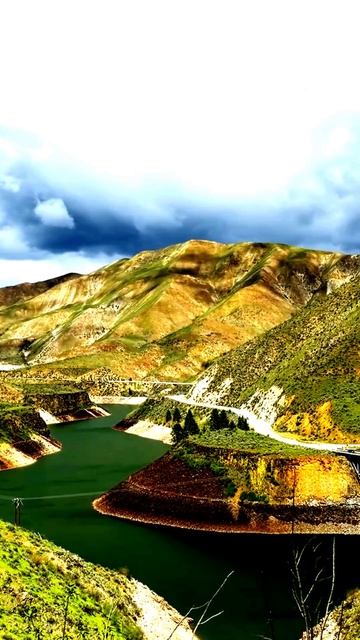 Камера зафиксировала эмоции