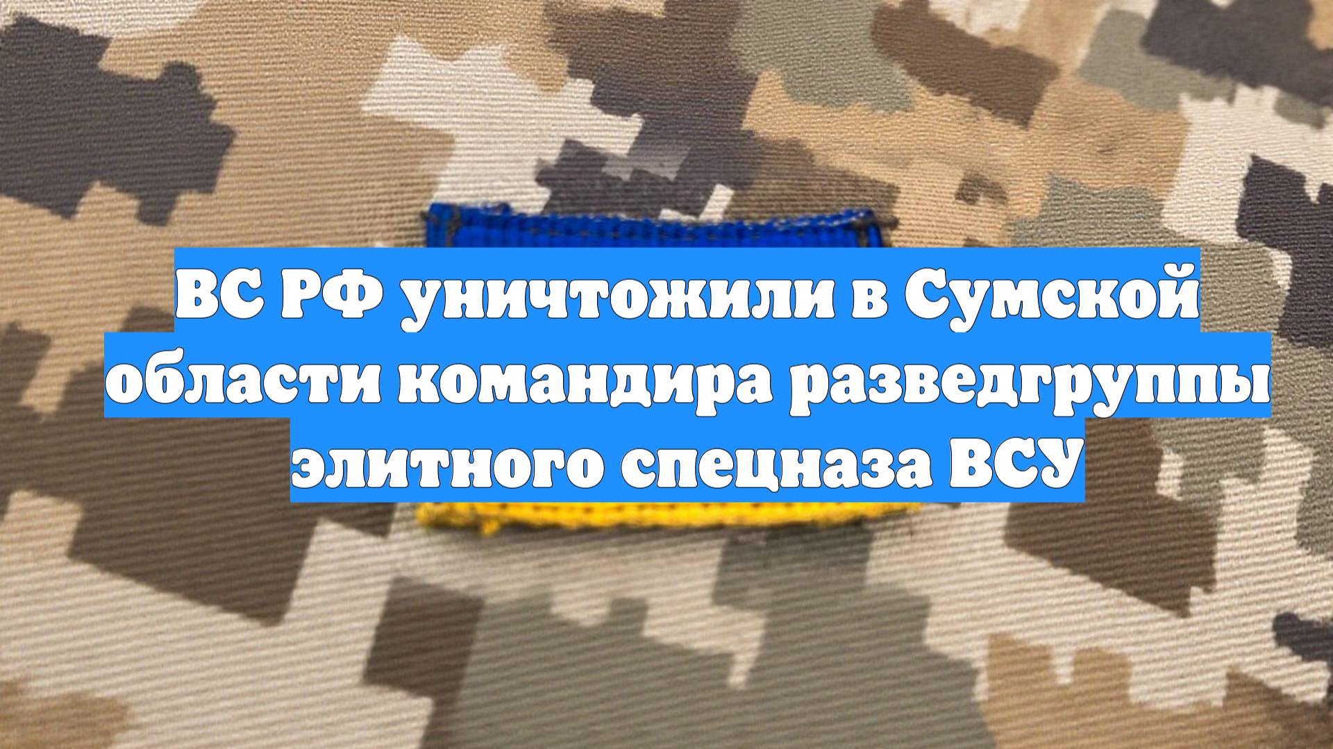 ВС РФ уничтожили в Сумской области командира разведгруппы элитного спецназа ВСУ