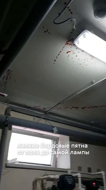 Хоррор-история уборки