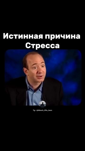 Стресс! Tg - @About_life_leon  #успех #мотивация #саморазвитие