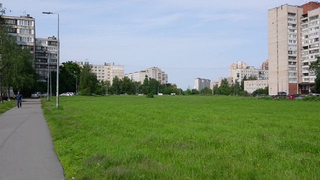 цветник у отеля 12.06.25 г.