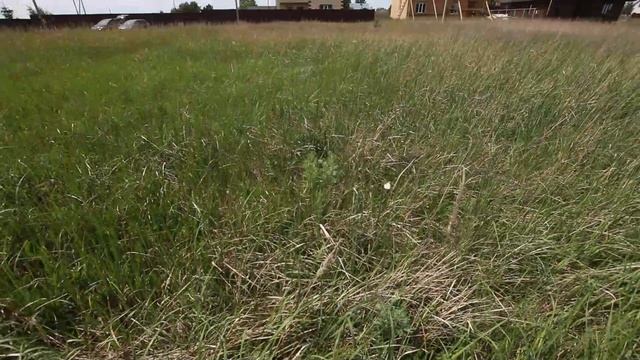 агропустынь - в продаже недвижимость