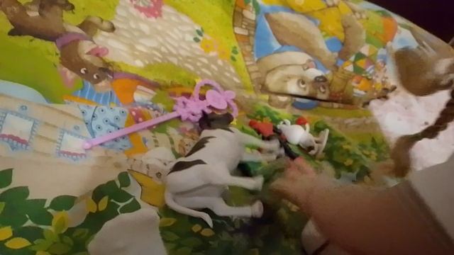 1000041815.mp4