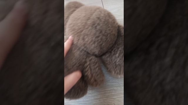 Приключение чебурашки