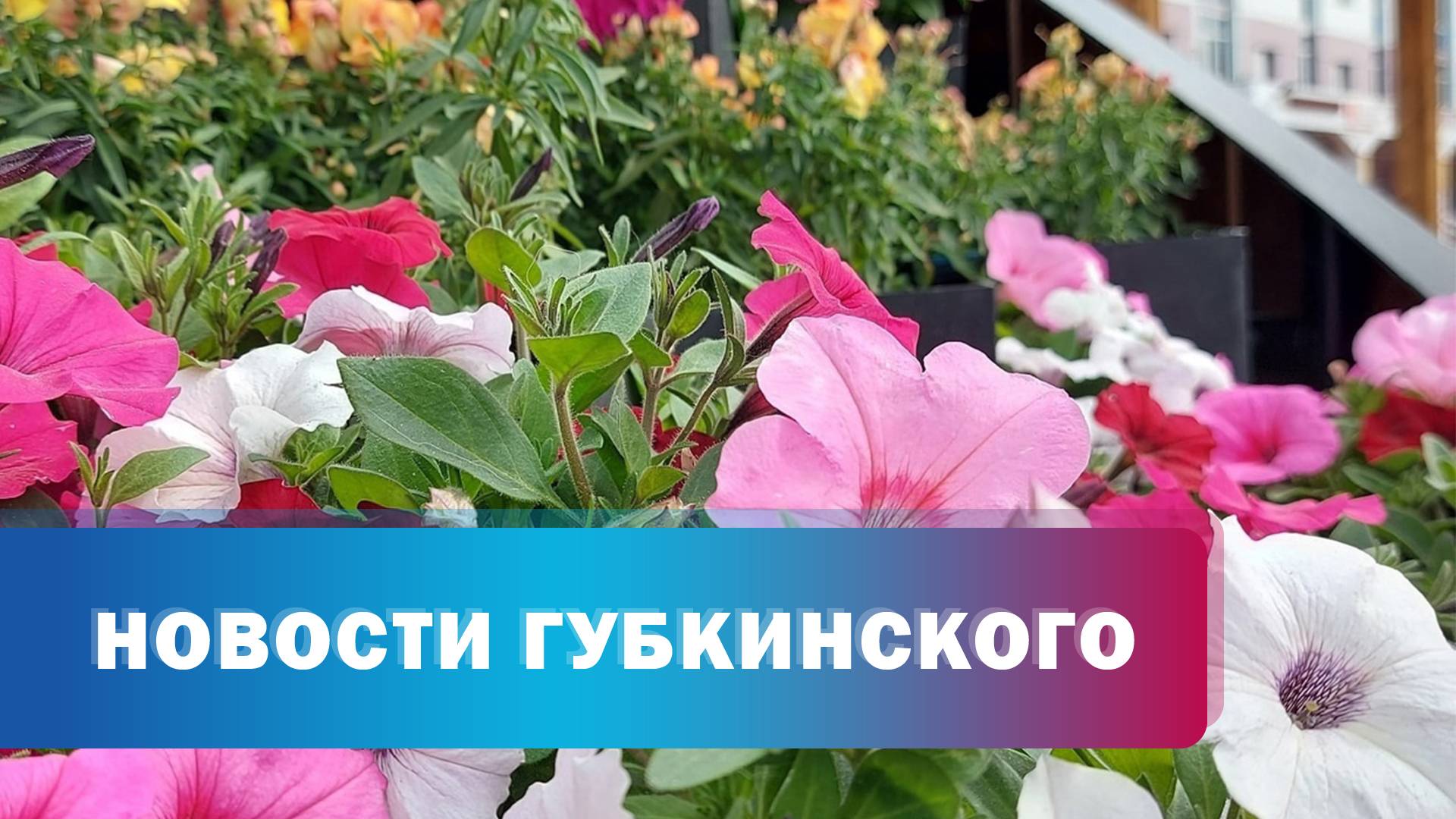 Цветочная кампания