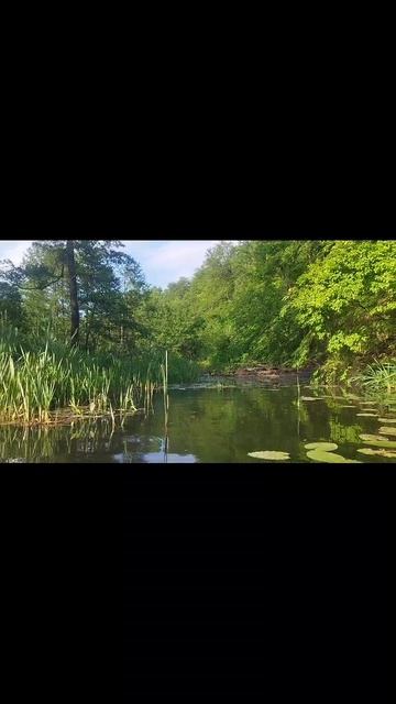 нашли реку, Новые воды