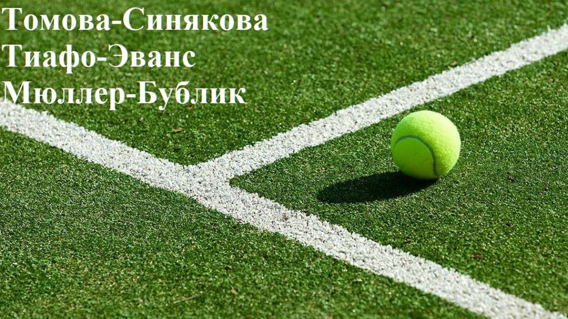 Томова-Синякова, Тиафо-Эванс, Мюллер-Бублик прогнозы на теннис 16 июня 2025