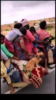 Тра та та тра та та мы везем с собой кота чижика собаку кошку забияку