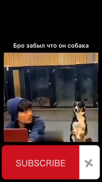 Бро и сам не знал что так умеет))
