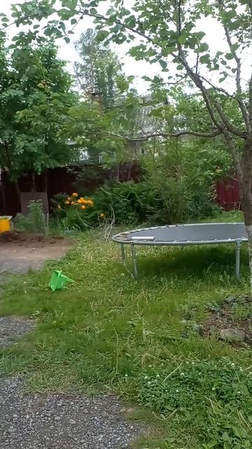 приключение шлёпы 1 сезон 1 серия