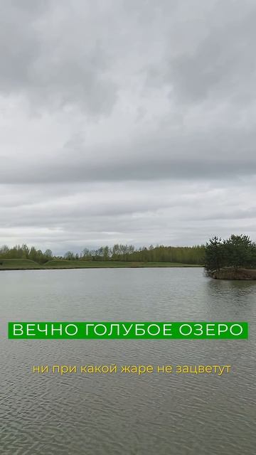 Секрет чистоты водоёма — удивительные рыбы!