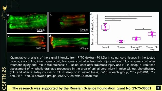 Photostimulation as a therapy method for spinal cord contusion whilea sleep and awake