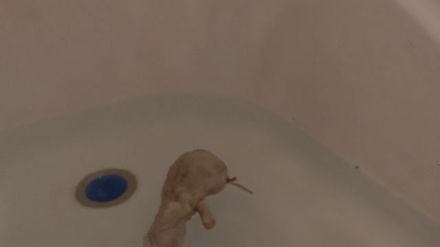 Худыша вместе с бычком открывает пляжный сезон